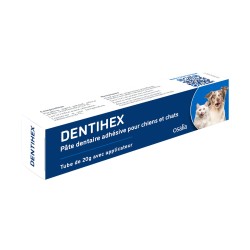 DENTIHEX 20G