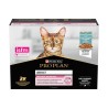 PP CT ADULT DELICATE FISH 10X85G