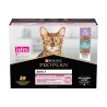 PP CT ADULT DELICATE MIX 10X85G