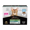 PP CT ADULT MAINTENANCE COD 10X75G