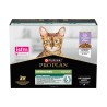 PP CT ADULT STERIL MAIN TURK 10X85G