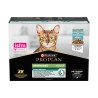PP CT ADULT STERIL MAINT FISH10X85G