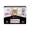 PP CT ADULTDELICATEMI 10X85GX2PROMO