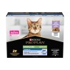 PP CT SENIOR LONGEVIS 10X75G