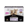 PP KITTEN HEALTHY TURK 10X85X2PROMO