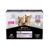 PP KITTEN TURKEY SACHET 26X85G