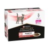 PPVD CT DM St/Ox DIABETE BEEF10X85G