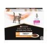 PPVD CT OM St/Ox OBESITY 10X85G