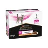 PPVD CT UR St/Ox URIN CHICK 10X85G