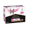 PPVD CT UR St/Ox URIN SALMON 10X85G