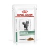 VHN CT DIABETIC 12X85G