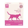 EASYPILL CT GINGIVA 30X2 G