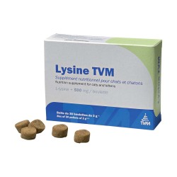 LYSINE TVM 30X2 GR