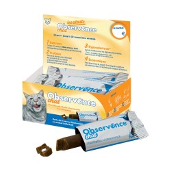 OBSERVENCE CHAT 6X10 GR