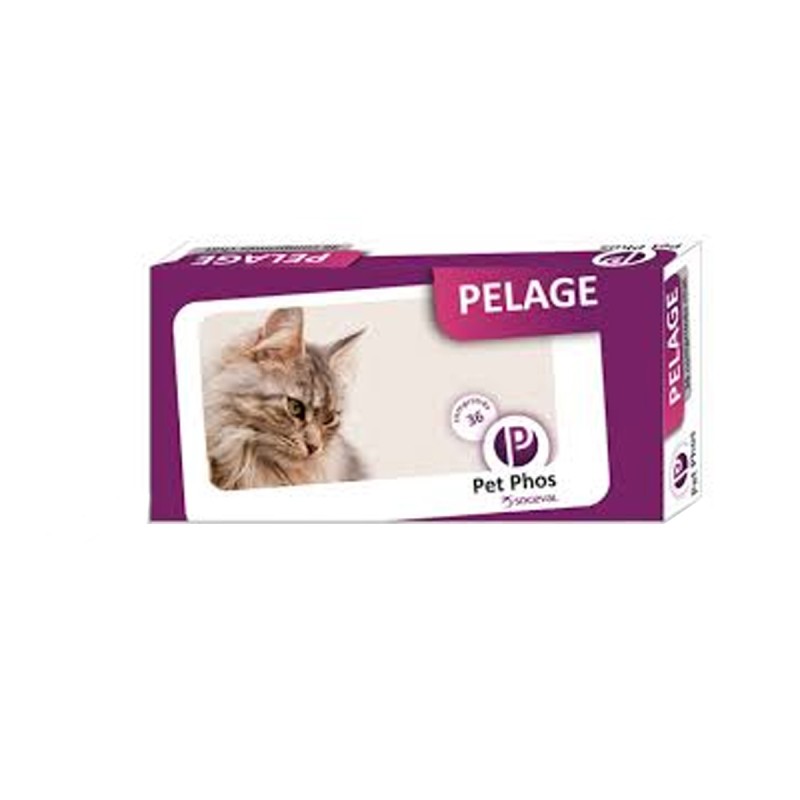 PETPHOS PELAGE CHAT 36 CPRS