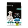 PPO CN ADULT L. ATHLETIC DIGEST 14K