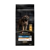 PPO CN ADULT LARGE ROBUST 14KG