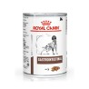 VHN CN GASTRO INT 12X400G