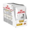 VHN CN URINARY S/O SACHET 12X100G