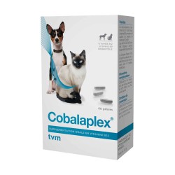 COBALAPLEX BT 60 GELULES