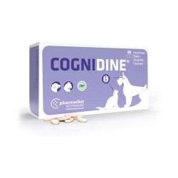COGNIDINE 60 CPRS