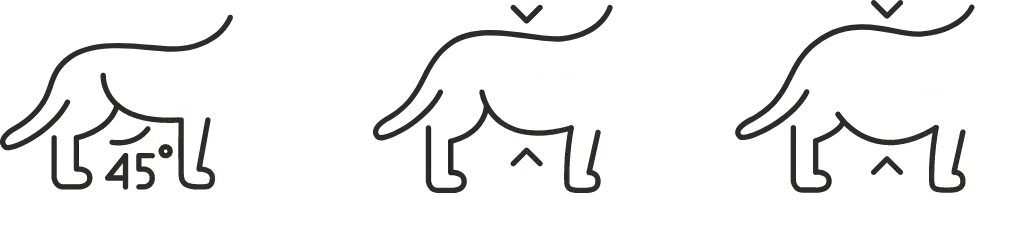 Arthrose_Header.webp